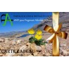 Cartes cadeaux + Partageos.com !