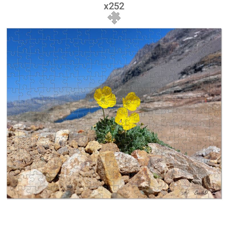 Puzzle d'art Cécile D. – Fleurs des cimes